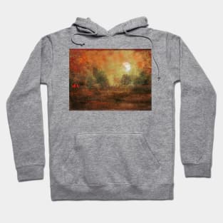 The Red Barn Hoodie